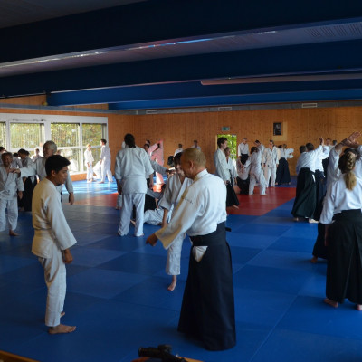 dsc 0050637dd3bf dd48 c622 1dcfb1e4db4deb5