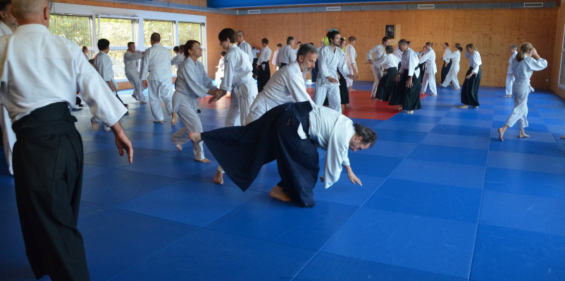 dsc 0172bdaeb692 e00af0 f09a c3b80ec01026