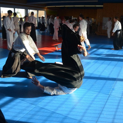 dsc 0219efdf5873 0320 5417 18e5dbf81eb7905