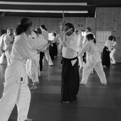 dsc 063971ce7b33 d655 bc23 af81f54ce4e3f