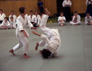 jugendstage in stgallen 270 20170612 149861150668d773c7 8807 9ba8 546ed5805022abe
