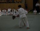jugendstage in stgallen710170612 1911823658971954e1ad4 e6f5 a89abed6c84839a