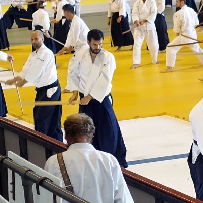 saignelegier 2018 171 20180716 10812782244dcdb41a 3cd3 4511 f9a9b20c275677